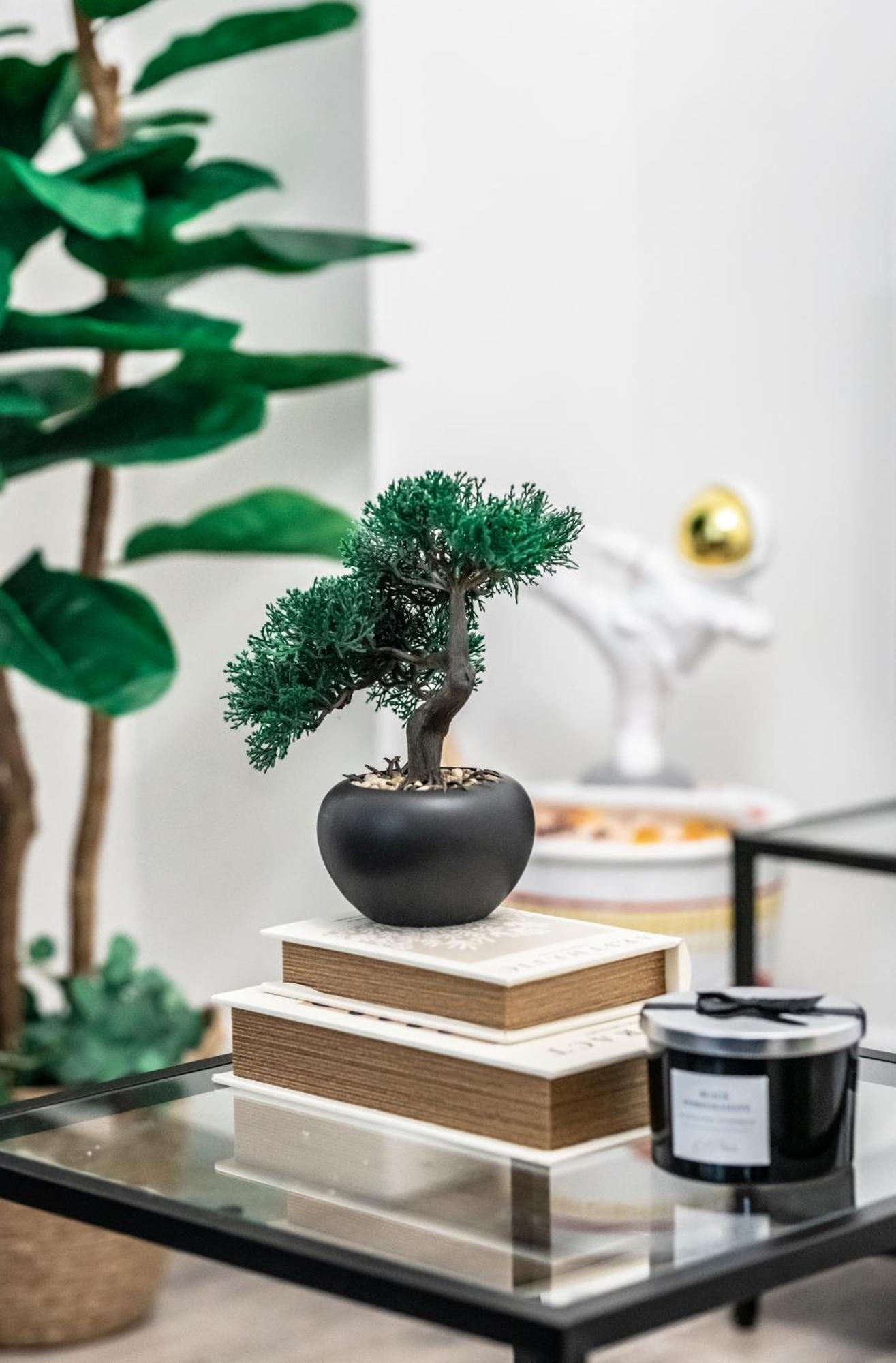 Camden Apartments 런던 외부 사진